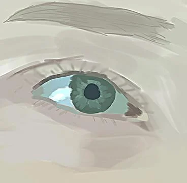 Open blue-gray human eye close up illustration Stock Illustration