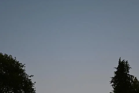 Open blue gray sky above silhouetted trees Stockfoto's