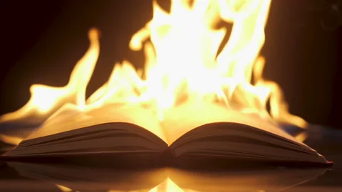 An open book against the backdrop of fire Stock Footage 166375794