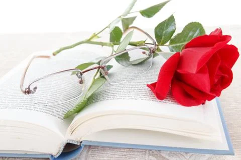 Open book and red rose with glasses on pages of book Stock Photos