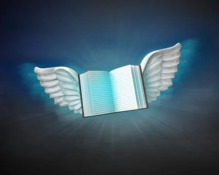Open book with angelic wings flight in dark sky illustration Stock Illustration