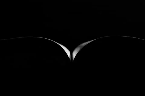 Open book in back light. Stock Photos