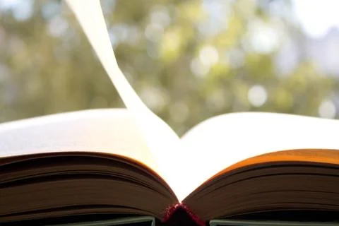 Open book on background of foliage Stock Photos