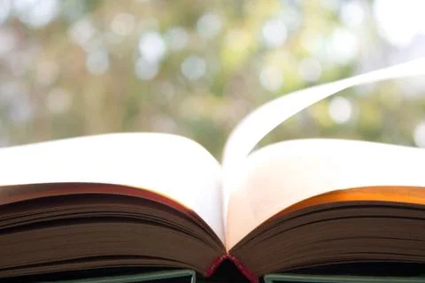 Open book on background of foliage Stock Photos
