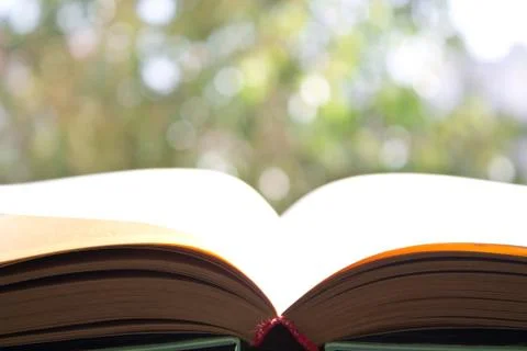 Open book on background of foliage Stock Photos