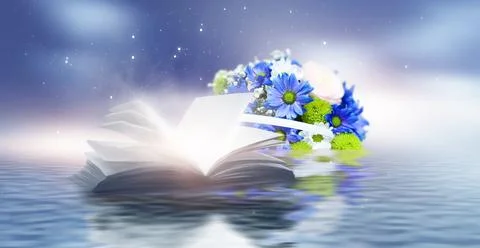 Open book on a background of a sea evening landscape with sunset. Stock Illustration