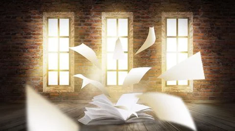 Open book on a background of a sea evening landscape with sunset. Stock Illustration