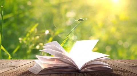 Open book on a background of a sea evening landscape with sunset. Stock Illustration