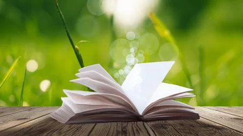 Open book on a background of a sea evening landscape with sunset. Stock Illustration