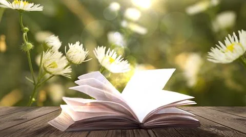 Open book on a background of a sea evening landscape with sunset. Stock Illustration