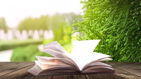 Open book on a background of a sea evening landscape with sunset. Stock Illustration