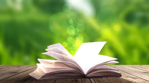 Open book on a background of a sea evening landscape with sunset. Stock Illustration