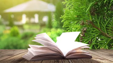 Open book on a background of a sea evening landscape with sunset. Stock Illustration