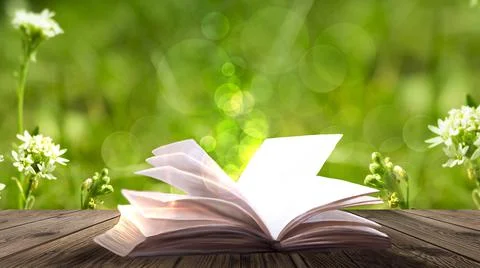 Open book on a background of a sea evening landscape with sunset. Stock Illustration