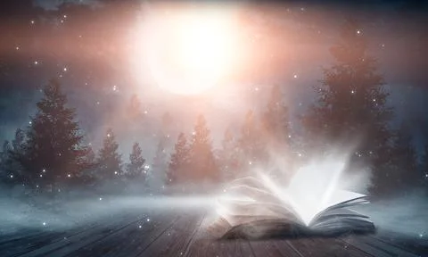 Open book on a background of a sea evening landscape with sunset. Stock Illustration