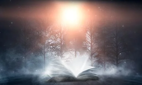 Open book on a background of a sea evening landscape with sunset. Stock Illustration