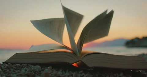 Open book on beach with flipping pages at golden sunset in Makarska Croatia Stock Footage 313305894