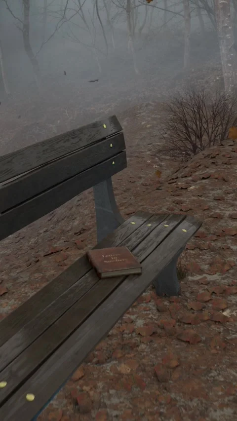 Open book on the bench, autumn forest Stock Footage 302526386