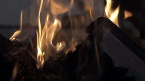 An open book burning in a fire of dry vets at night in an ancient building in Stock Footage 243065450