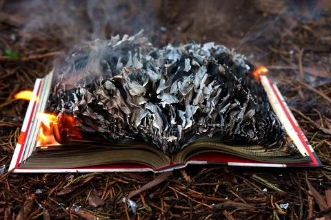 Open Book Burning on the Forest Floor with Smoke and Ash Rising Up Fotos de archivo