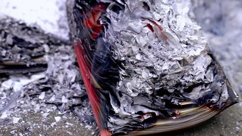 Open book burning on the ground with gray ash Stock Footage 333144740