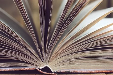 Open book closeup. Foto stock