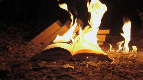 An open book is on fire Stock Footage 243980105