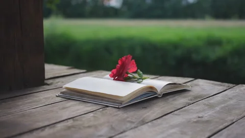 Open book with flower on it lying on wood background outdoors Stock-Footage 151763311