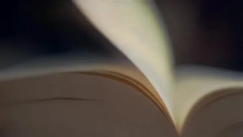 Open book Stock Footage 303843983