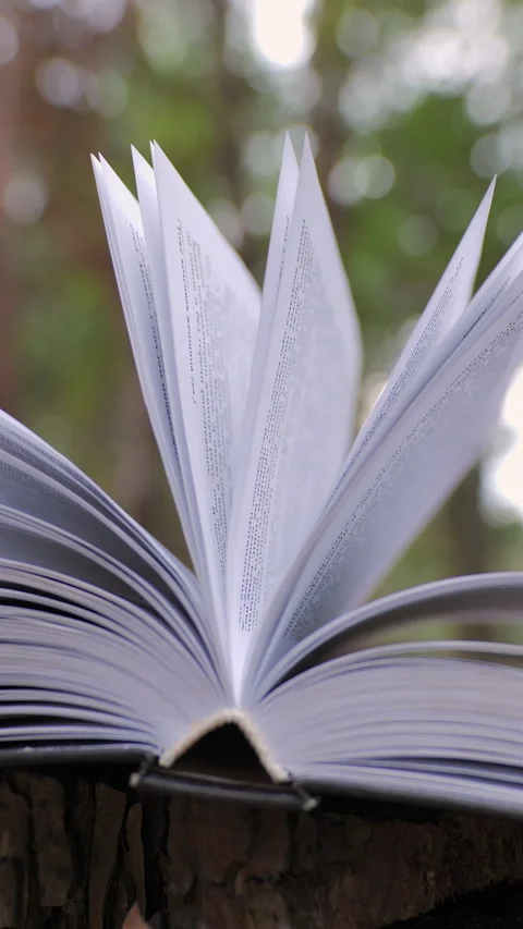 Open book in the forest Stock Footage 255793670