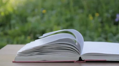 Open book on the garden table Stock Footage 67807980