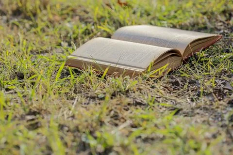 Open book on the grass Stock Photos