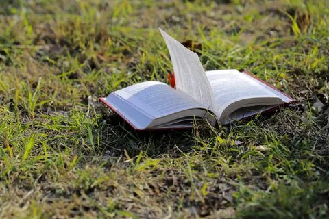Open book on the grass Stock Photos