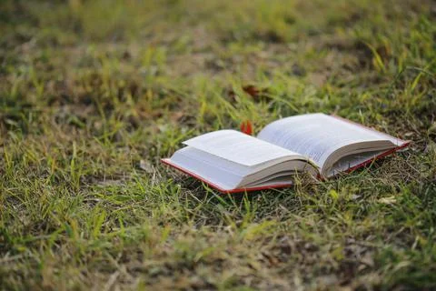 Open book on the grass Stock Photos