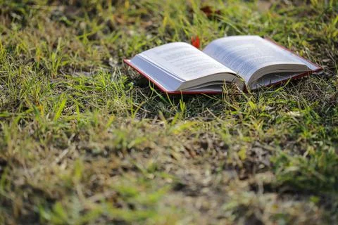 Open book on the grass Stock Photos