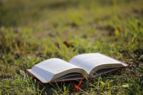 Open book on the grass Stock Photos