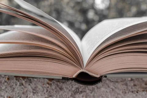 Open book on a green background Stock Photos