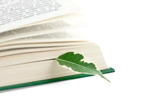Open book with a green leaf Stock Photos