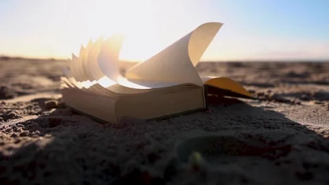 Open Book on Ground with Wind Blowing Pages in Warm Sunlight Stock Footage 339090720