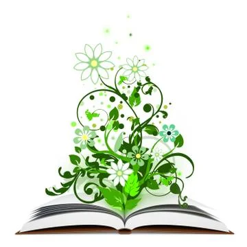 Open book Stock Illustration