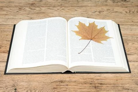 Open book with a leaf Stock Photos