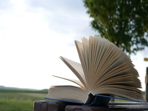 The open book lies on a bench and leaves turn over from the wind Stock Footage 77609031