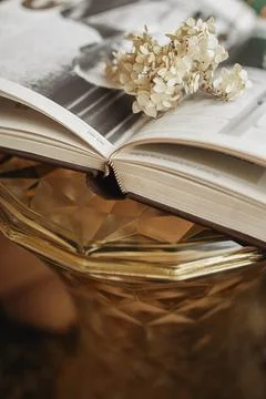An open book lies on the table Stock Photos