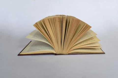 Open book on a light background. Stock Photos