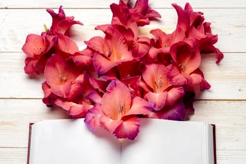 Open book on light table. The flower on a background of book. Stock Photos