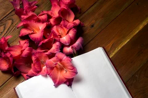 Open book on light table. The flower on a background of book. Stock Photos