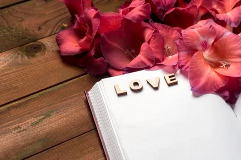 Open book on light table. The flower on a background of book. Stock Photos