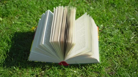 Open book lying in green grass on a sunny day, wind turning the pages of book Video stock 196232259