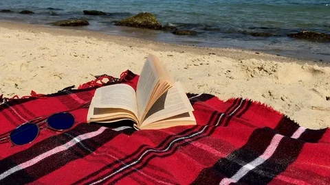 Open book lying on the plaid on the sunny beach. Stock Footage 81654447
