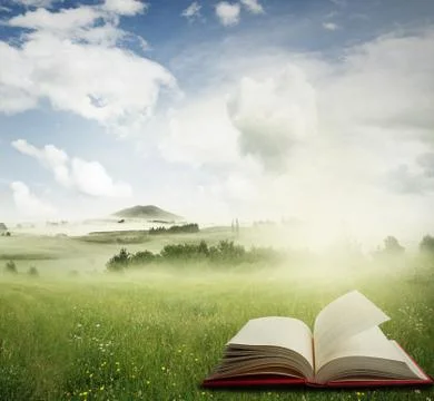 Open book in a meadow Stock Photos